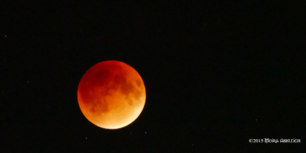 Blood Mood Lunar Eclipse
